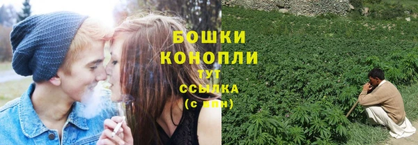 дживик Аркадак