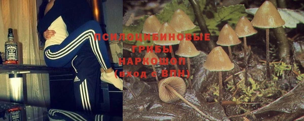 дживик Аркадак