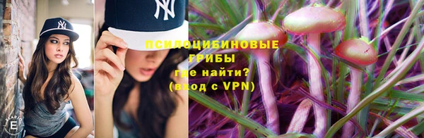 дживик Аркадак