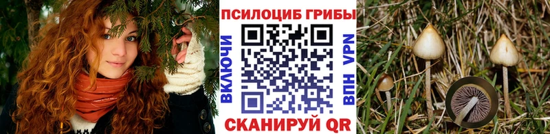 Галлюциногенные грибы прущие грибы  Купить  Тимашёвск 