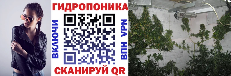 Бошки Шишки тримм  Купить закладки  Тимашёвск 